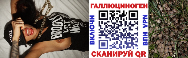 Псилоцибиновые грибы MAGIC MUSHROOMS  Вилюйск 